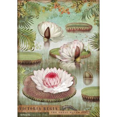 Stamperia Amazonia Rice Paper - Waterlily